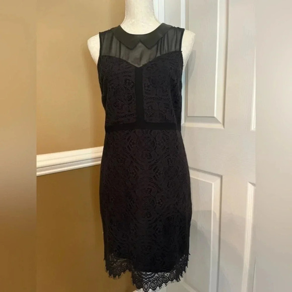 Ali Ra Silk Lace with Leather Collar Black‎ Dress - Picture 8 of 10